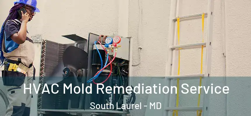  HVAC Mold Remediation Service South Laurel - MD