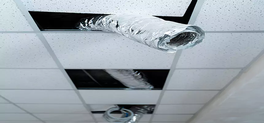 Our Air Duct Pet Hair Removal Services in South Laurel, MD