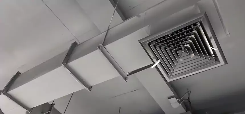 Our Pest Removal From Ducts Services in South Laurel, MD