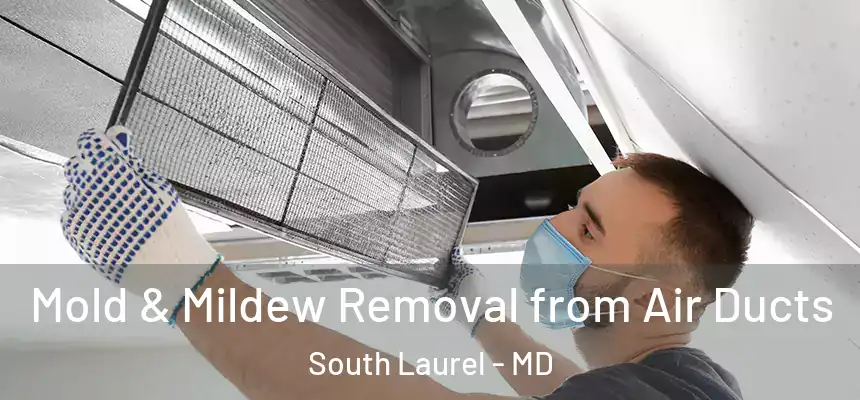  Mold & Mildew Removal from Air Ducts South Laurel - MD