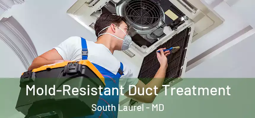 Mold-Resistant Duct Treatment South Laurel - MD
