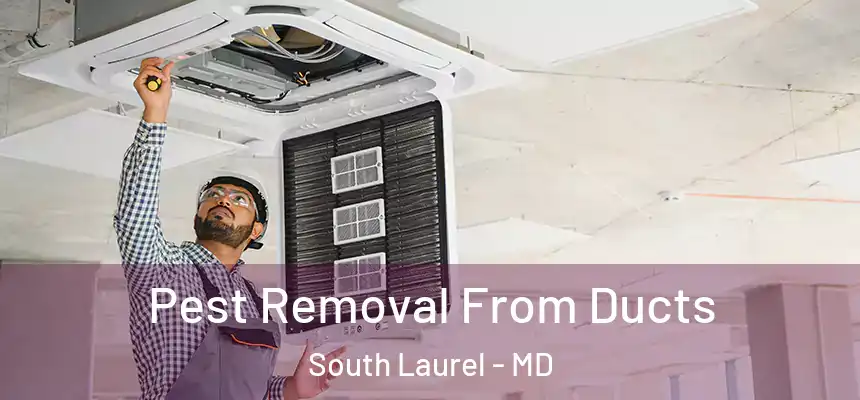  Pest Removal From Ducts South Laurel - MD