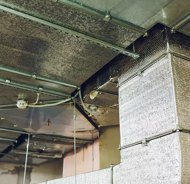 Why Homeowners & Businesses Trust Us in South Laurel, MD?